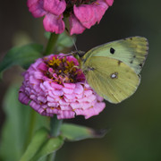 DSC 0506