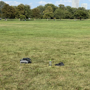 IMG-0593