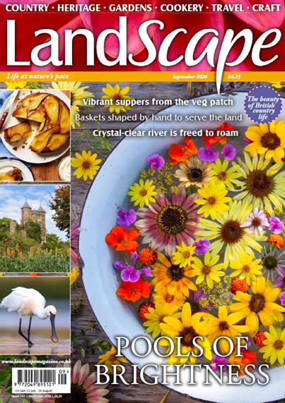 LandScape � 9 September 2026