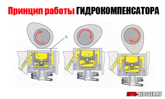 https://i.ibb.co/PvGBDM2m/r-HDks.jpg