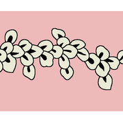 Border 37