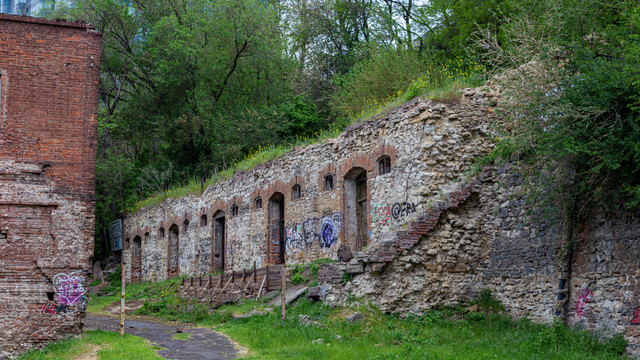 IMG 0378.jpg