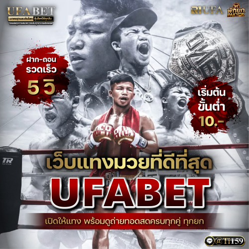 เว็บแทงมวย