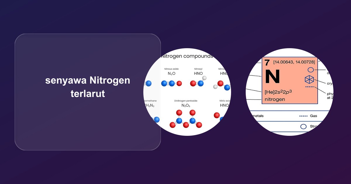 Identitas Kimia, Transformasi pH, dan Kinetika Lingkungan Nitrogen Terlarut