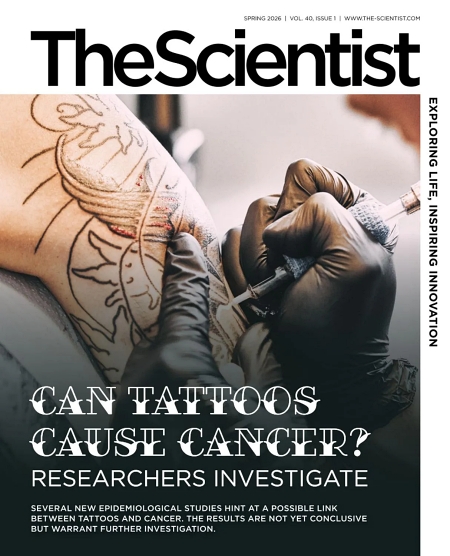 The Scientist - Spring 2026