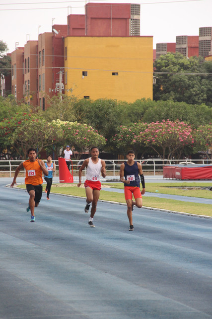 IMG-0142.jpg