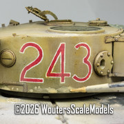 Afrika Tiger 137
