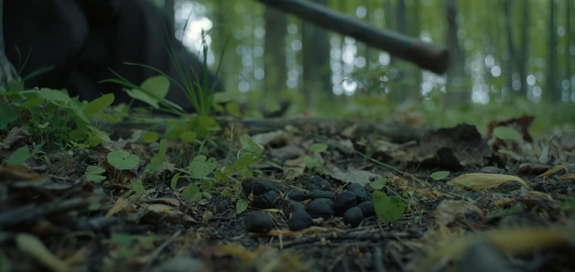 frame5
