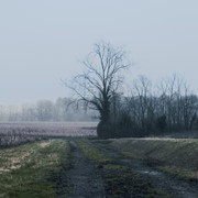 DSF5224