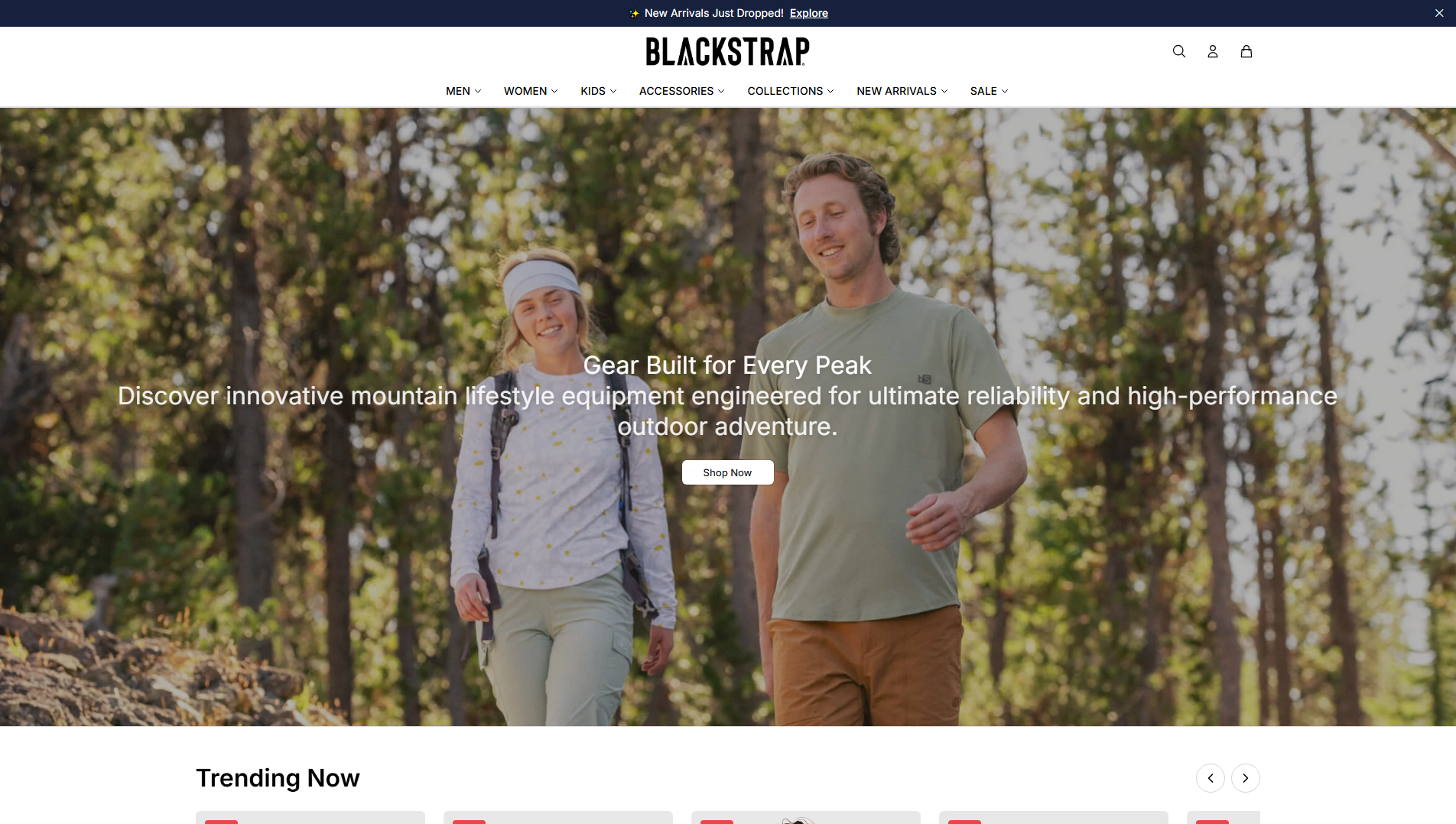 Primary capture · blackstrapactive.shop