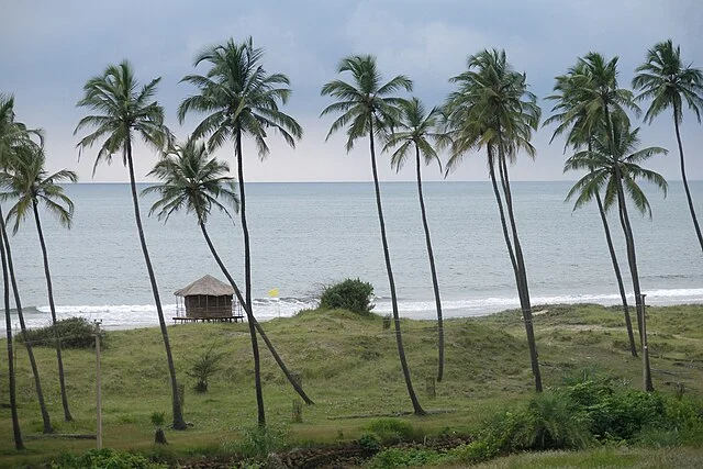 Mandrem Beach Goa India.webp