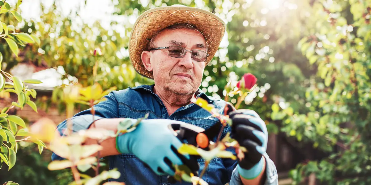 Gardening Slows Aging in Older Adults