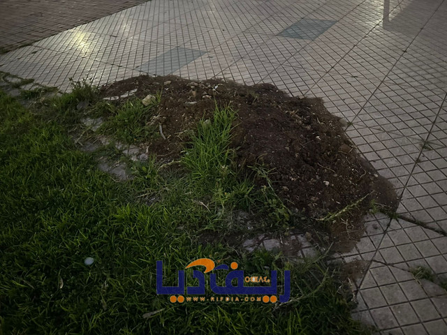 Photo 1774467876321
