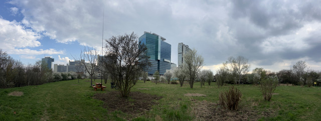 IMG-8731.jpg