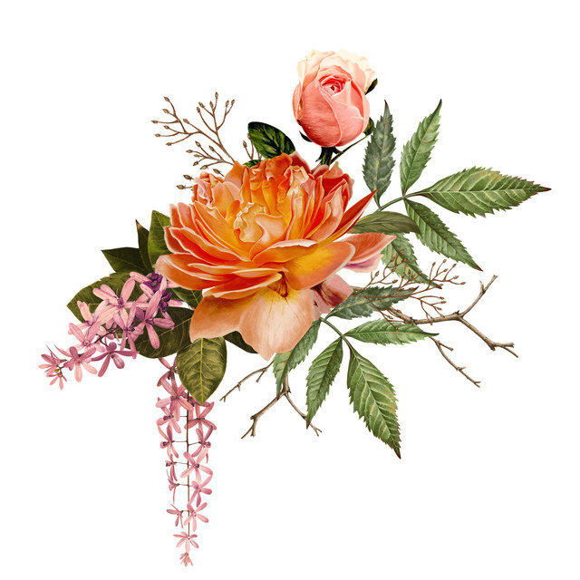 shutterstock 1077260417.jpg