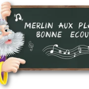 VERT Merlin platines
