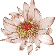 013