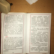 IMG 0226
