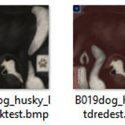 Huskies