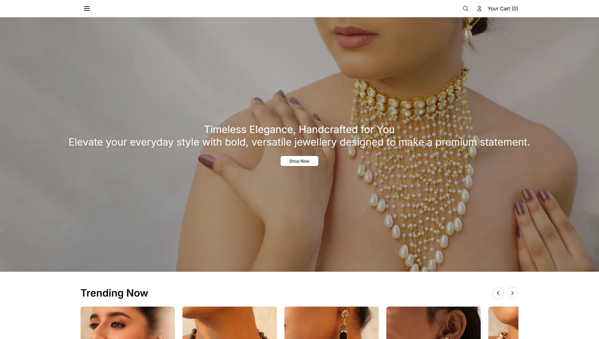 Primary capture · binniselect.shop
