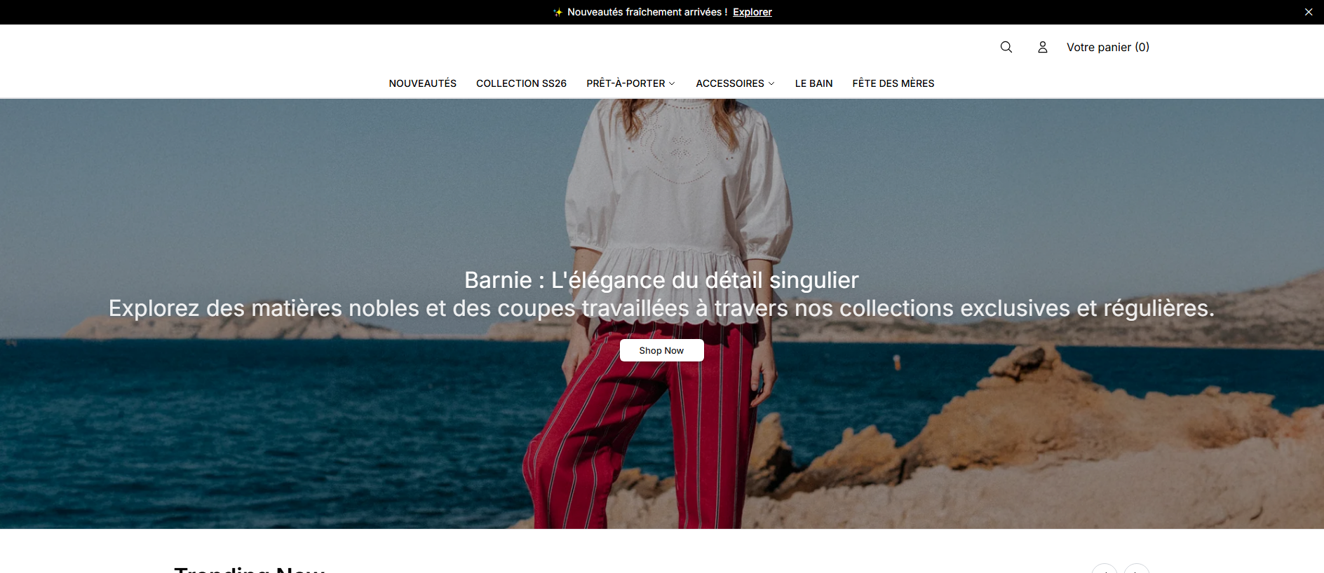 Stored capture of barnieco.shop