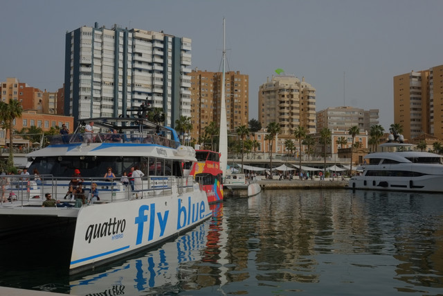 DSCF8900.jpg