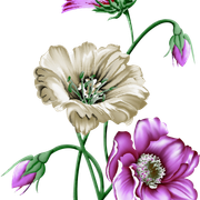 1b68de034cf04b9f78ed7d241a4fc6b2