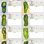 Prestige Tour Tournament Notes Sheet Single