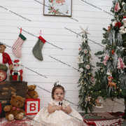 IMG 4488