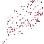 Leaf4-Confetti
