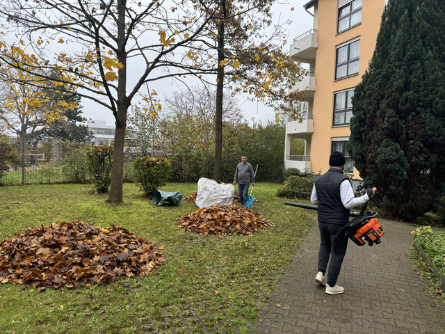 Gartenpflege für Gewerbe und WEG durch VFM