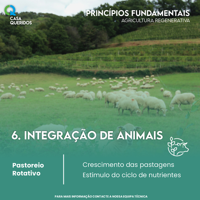 Integra��o de Animais