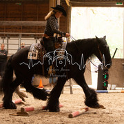 IMG-6155
