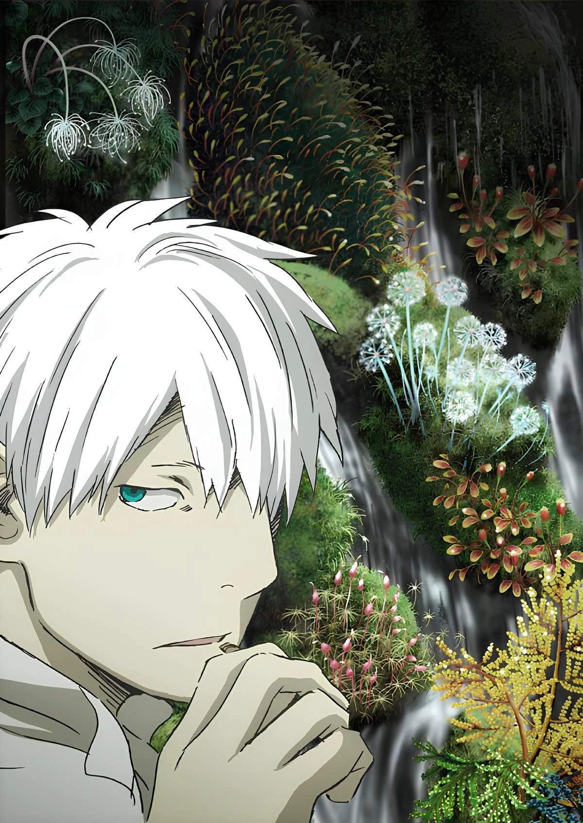content-banner