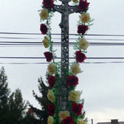 krzyz 18bm