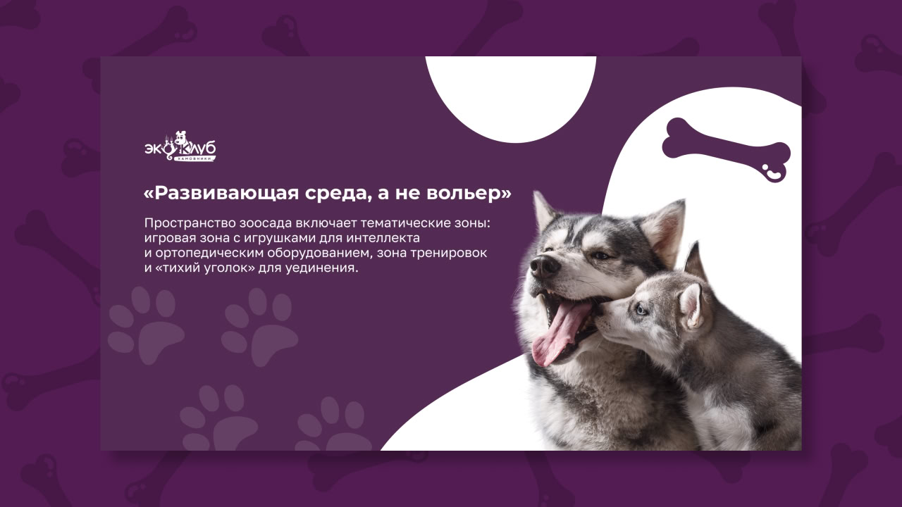 ЗооСад — дневное пребывание