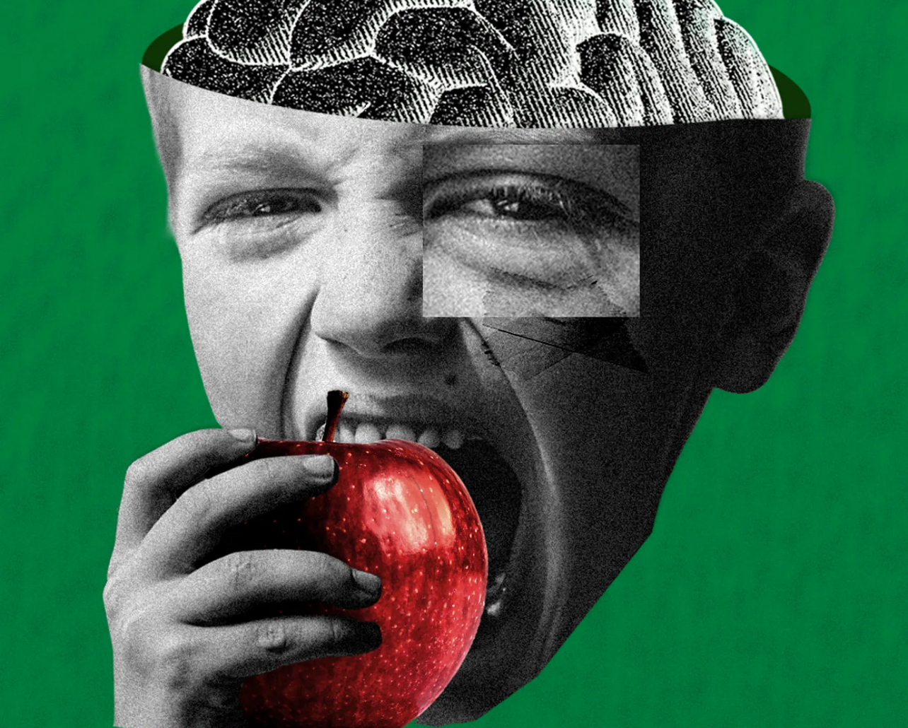 Brain bran: The protective effect that fibre has on cognition