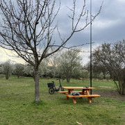 IMG-8766