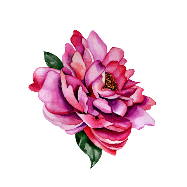 shutterstock 1881732028.jpg