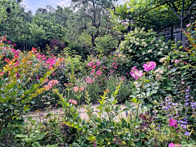 garden.jpg