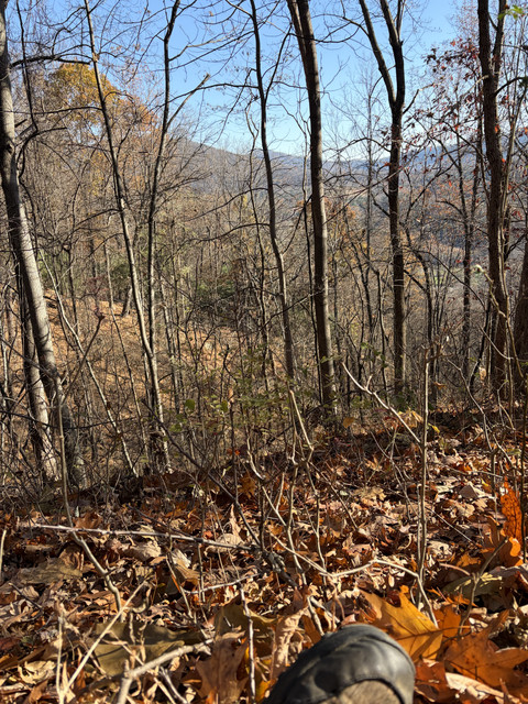 IMG-8205