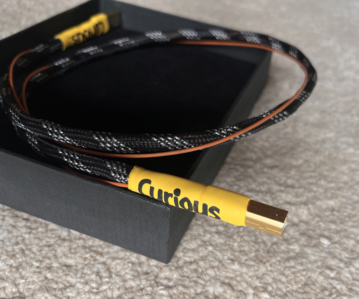[Image: Curious-3.jpg]