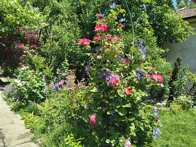 garden1.jpg