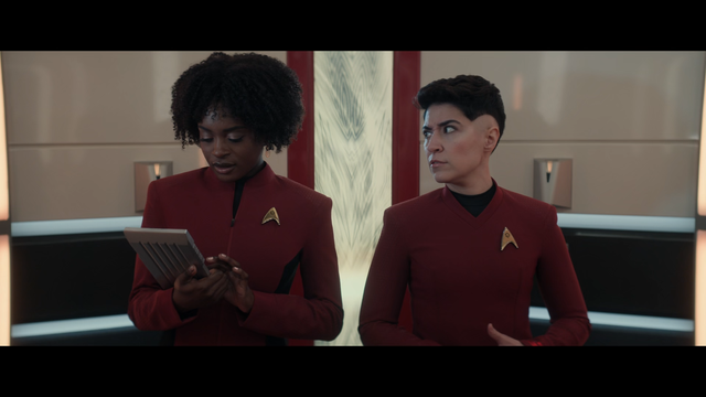 trek 3