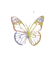 Butterfly Wings