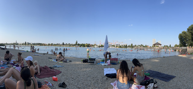 IMG-0239