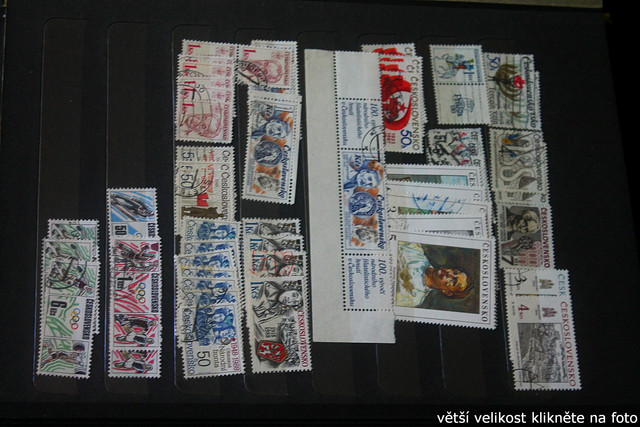 IMG-3388.jpg