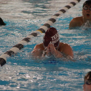 IMG-0331
