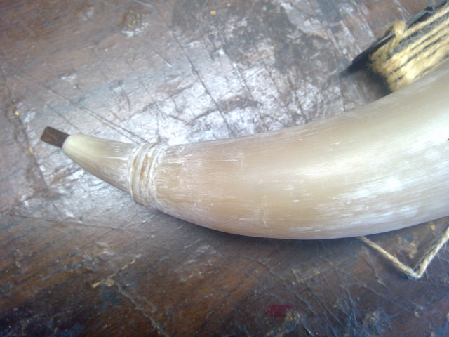 Horn-3