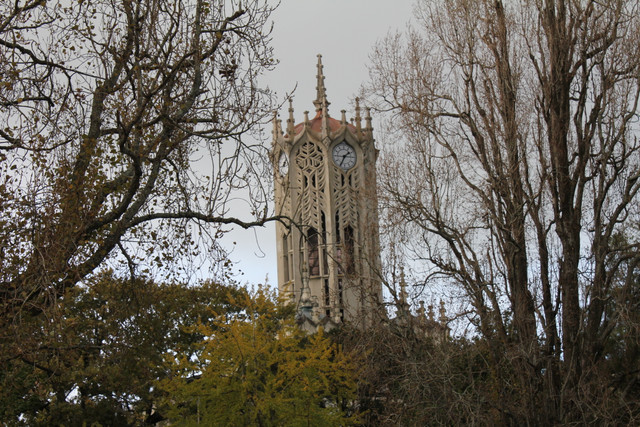 IMG 0900